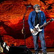 Alvin Youngblood Hart