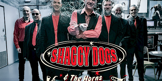 Shaggy Dogs